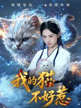 【短剧】我的猫不好惹